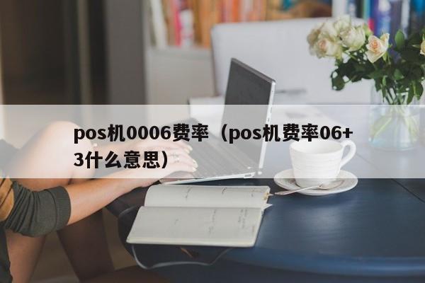 pos机0006费率（pos机费率06+3什么意思）