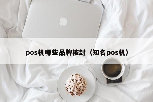 pos机哪些品牌被封（知名pos机）