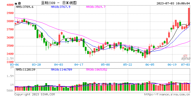 快讯：豆粕期货主力合约触及涨停，日内涨幅5.99%